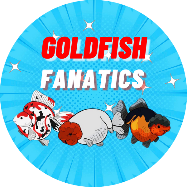 Goldfish Fanatics